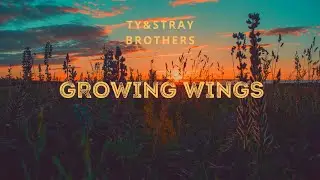 Growing Wings
