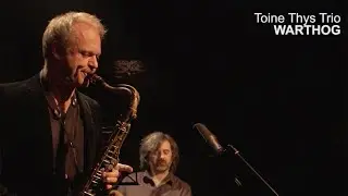 Toine Thys Trio Ft. Sam Yahel - Warthog - Clip
