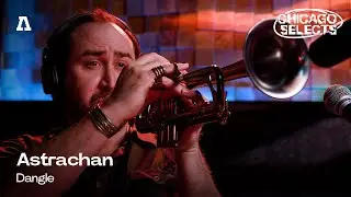 Astrachan - Dangle | Audiotree Live (Chicago Selects)