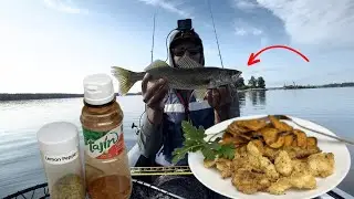 Catch, Clean & Cook WALLEYE (multi species kayak trip)