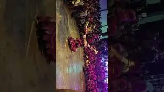 Gosta de conteúdo de folia de Reis se inscreva no canal essa é a apresentação da jornada Lua Nova .