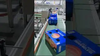 Fruit packaging line from box forming to lidding #box #boxformingmachine #boxmakingmachine #fruits