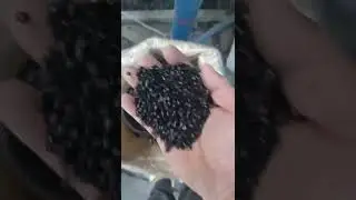 Raw materials for the production of plastic pipes
