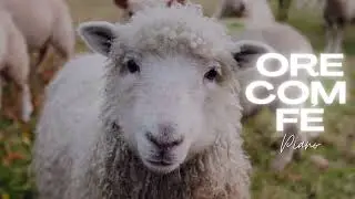 Deep Worship Instrumental | Christian Music for Prayer & Meditation | Fundo Musical para Ora&ccedil;&atilde;o