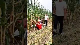 Hand-Push Corn Harvester: Compact and efficient for easy corn harvesting!