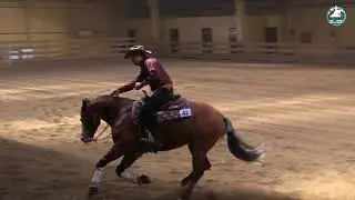 You Can Slide 2018 NRHA Novice Horse Open L2   Showoff Spooks42 Adrian Motyka
