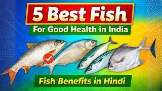 5 Best Fish for Good Health in India | Fish Benefits in Hindi