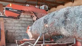 LT20 Sawmills cut rosewood timber in Zambia - Africa Wood-Mizer
