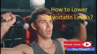 How to Lower Myostatin Levels?