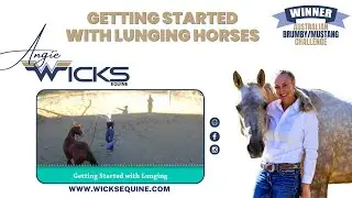 Getting Started with Lunging horses - Angie Wicks