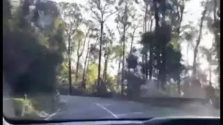 ROAD TRIP |  Maroondah Highway, Buxton Victoria