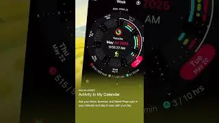 Activity Rings in My Calendar