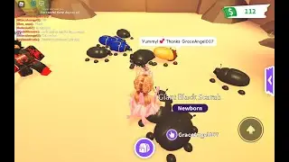 Adopt Me Desert Shop! Throwing Mud Balls And Winning The Gold, Blue, And Black Scarab Pets!