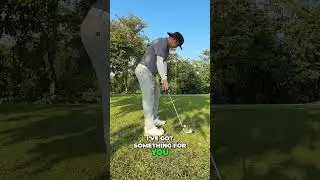 Golf Stats: Track Your Game & Improve!