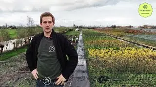 Koperwiek's Arne Driessen | Top 50 Farmers 2025