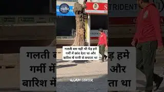 Stop tree cutting and plant more trees #ujjain #tree #saveenvironment