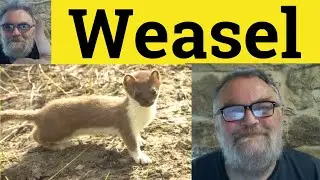 🔵 Weasel Meaning - Weasel Examples - Weasel Into Defined - Weasel Weasel Out Of Weasel Into