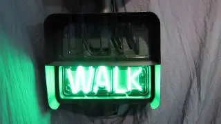 Neon California Classic Signal Cycling