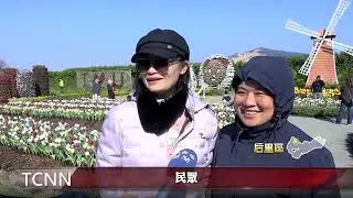 后里花市鬱金香季開跑 帶民眾一秒到荷蘭賞花-大台中新聞