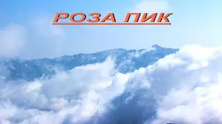 РОЗА ПИК