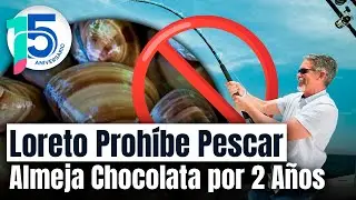 Medida Radical: Proh&iacute;ben Pesca de Almeja Chocolata en Loreto para Salvaguardar la Especie