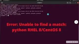 Fix Error: Unable to find a match: python RHEL 8/CentOS 8