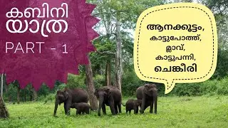 Close encounter with elephant herd | Kabini Wildlife Safari | Nagarhole National Park