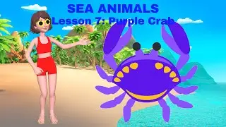 Purple Crab Adventure! An Ocean Lesson For Kids
