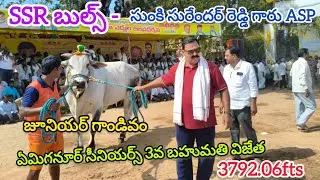 ఏమిగనూర్ సీనియర్స్ విభాగం 6వ జత. SSR బుల్స్ - జూనియర్ గాండివం & వీరనరసింహ రెడ్డి..