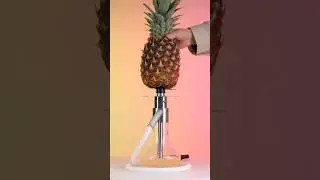 Mini Russian Hookah || fruit hookah || hookah lounge #shorts #hookah #shortsfeed #ytshorts