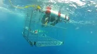 GOPR7465