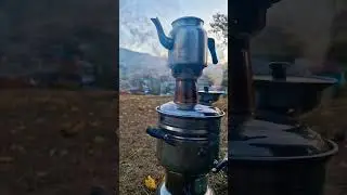Tea in nature. Unique taste