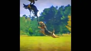 Dog's friendship 😭😩 | Edit | Emotional # shorts