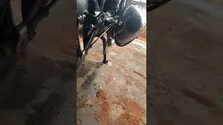 Famosa 150 no giro do CR FLAT  😎🚀🚀 #videos #curtos #shorts