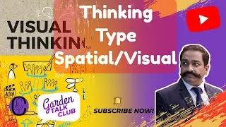 Different Styles of Thinking Pictures, Patterns and Abstractions own minds are spatial visualization