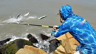SI QUERÉS SABER LO QUE SUCEDIÓ CON LA PESCA NO TE PIERDAS ESTE VIDEO