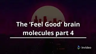 The &lsquo;Feel Good&rsquo; brain molecules - part 4 #shorts