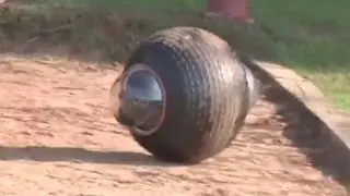 Is that a dog toy ... or a robot spy?