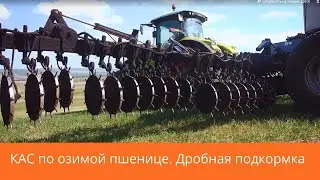 КАС по озимой пшенице  Дробная подкормка