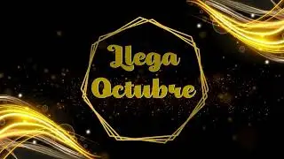 Viene Festigaitas 2025