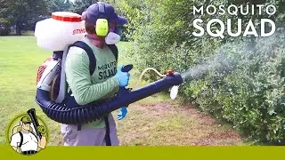 What To Expect From Mosquito Squad - Mosquito and Tick Control