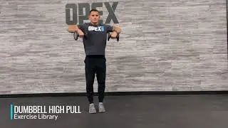 Dumbbell High Pull