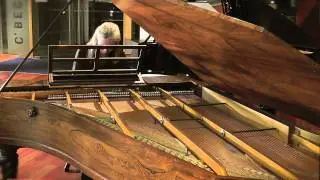 Anna Ivanova Waldesrauschen Franz Liszt's 1862 Bechstein