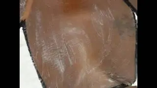 Bronzeamento Natural