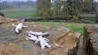 Strange Altars - Symbolic Figures Altar- The Mound & Watermeadows - Linda Sgoluppi.wmv