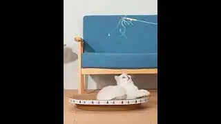 Sturdy Corrugated Cat Scratcher: Round & Oval Design for Cats