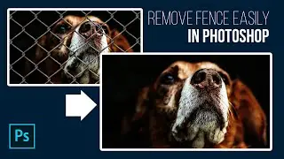 How to Remove Fence In Photoshop Easily.