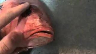 shhh