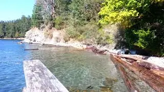 High tide Bridges Road ASMR water on logs 11