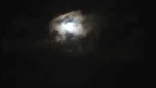 Moonswept